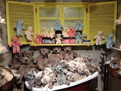 -济州岛泰迪熊博物馆