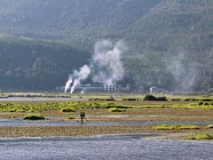 -腾冲北海湿地