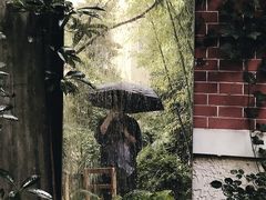 -胶囊画廊