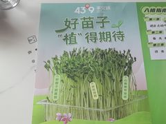 -蒙都43°9羊火锅·赤峰美食(宁城店)