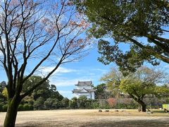 -名古屋城