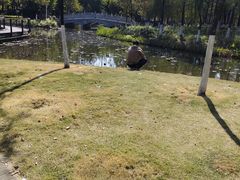 -映月湖公园