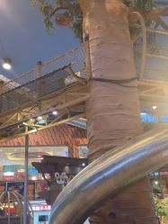 -卡通尼·Safari非洲探索乐园·生日会(金桥国际商业广场店)