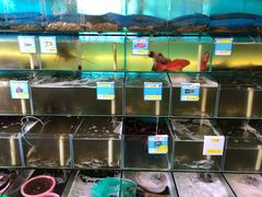 水产区-琼大师东方烤乳猪(亚特兰蒂斯店)