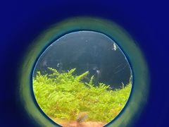 -欢乐海岸海洋奇梦馆