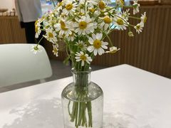 -CHEZ JASMINE 茉莉的氧气厨房