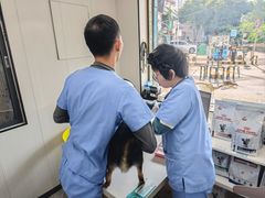 -瑞派宠物医院东莞中心医院·24H转诊·异宠(新河北路院)
