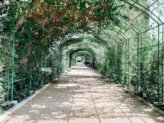 -维乐口腔医院(福清院)