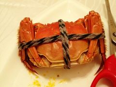 iphone_upload_pic-新光酒家·河豚·海鲜·蟹料理(浦东店)