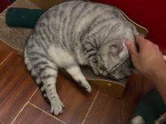 -H立方实景剧情密室(天河旗舰店)