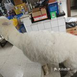 体验花园式生活气息