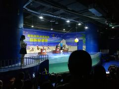 -重庆欢乐海底世界