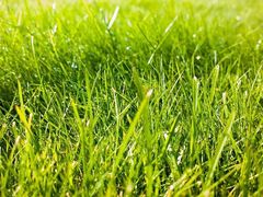 -终南山国家森林公园