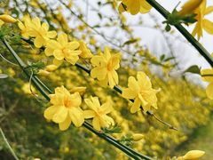 -国际非物质文化遗产博览园