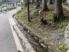 -太阳湾风景区