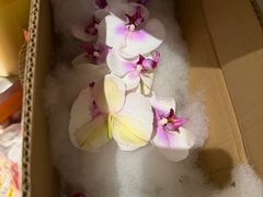 -天盛海鲜烧烤大排档·本地小海鲜·牟平腿穗子(幸福店)