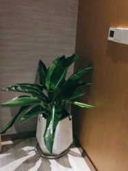 点击看大图 -苑苑vbeauty科技美容SPA
