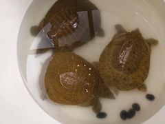 -酒蜻蜓·庭院私房菜(天元东路店)