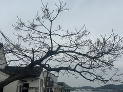 -东钱湖旅游度假区