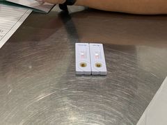 -瑞派天使宠物医院·神经外科·骨科·核磁(洛川中路店)