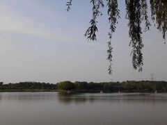 -昆山城市生态森林公园