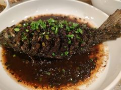 盐帮卤鱼-铁公鸡·四川料理(天环广场店)