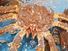 -映像威海·海鲜味道(经区店)