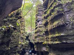 -梭布垭石林景区