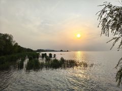 -苏州冶园园林民宿(太湖西山风景区店)
