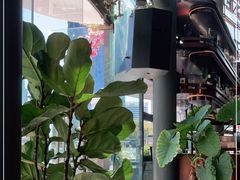 -Magnet磁食(同德店)