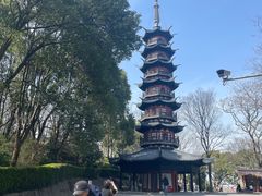 -上海佘山国家森林公园西佘山园