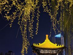 -迎泽公园