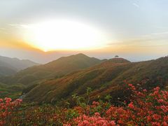 -大围山国家森林公园