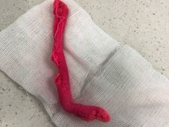 -纳吉亚猫专科动物诊疗中心(蒋宅口分院)
