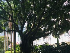 -厦门大学附属中山医院(本部)