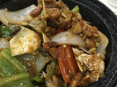 -豪华脆肉鲩