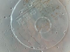 -阳阳中国饭(龙湖大兴天街)