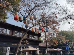 -西溪国家湿地公园