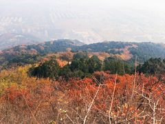 -北京西山国家森林公园