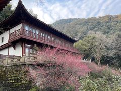 -韬光茶庵