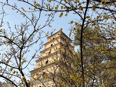 -大慈恩寺(大雁塔)