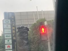 -证大大拇指广场(芳甸路店)