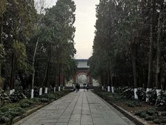 -灵谷景区