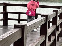 -苏州太湖国家湿地公园