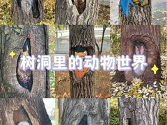 -迎泽公园