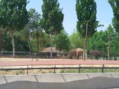 -石家庄市动物园