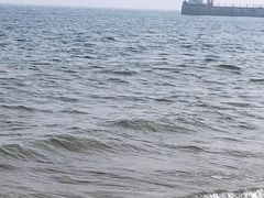 -海天一色海景自助餐厅(西港花园店)