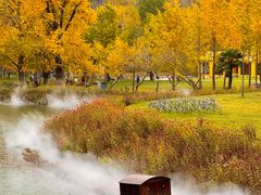 -千年银杏谷文化旅游区