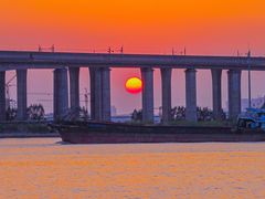 -先锋海鲜市场