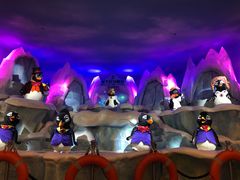 -帝企鹅自助餐厅•儿童岛•真企鹅(长隆企鹅酒店)